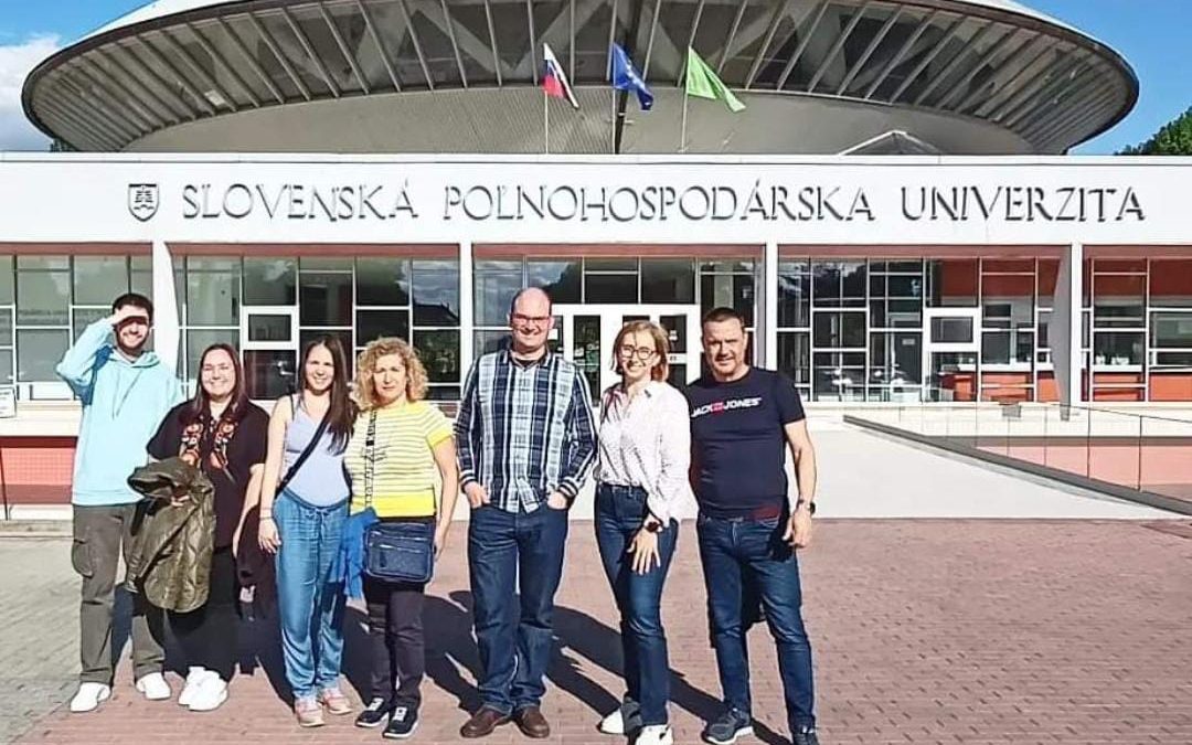 Profesores y Estudiantes de doctorado de la UMH participan en una formación internacional sobre escritura de trabajos científicos en la Slovak University of Nitra